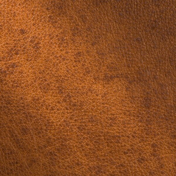 Bière blonde de la Nouvelle-Orléans