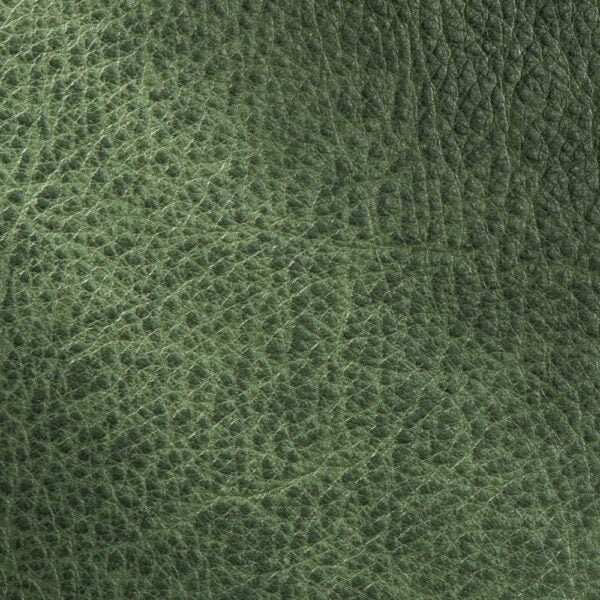 PIN DE LA NOUVELLE-ORLÉANS