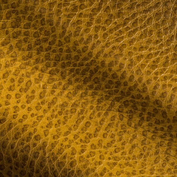 CITRONNELLE DE LA NOUVELLE-ORLÉANS