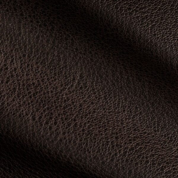 ÉLAN DE LA NOUVELLE-ORLÉANS