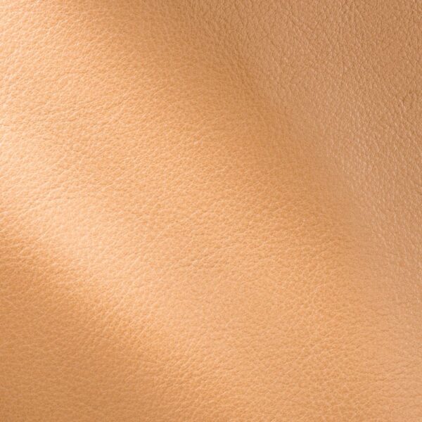 SANTIAGO CHAMOIS MIELE