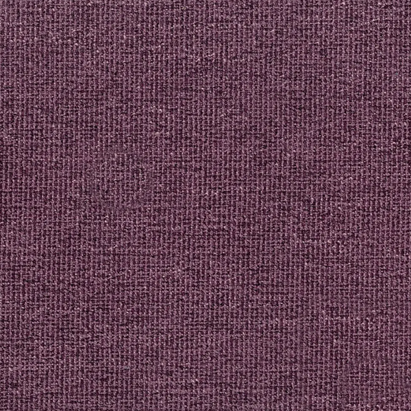 Stardust Plum 109