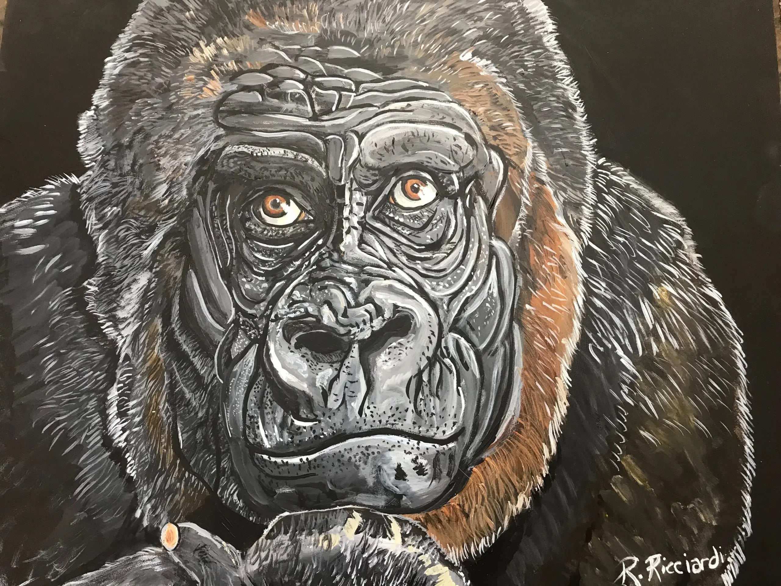 L'INTELLIGENCE DU GORILLE