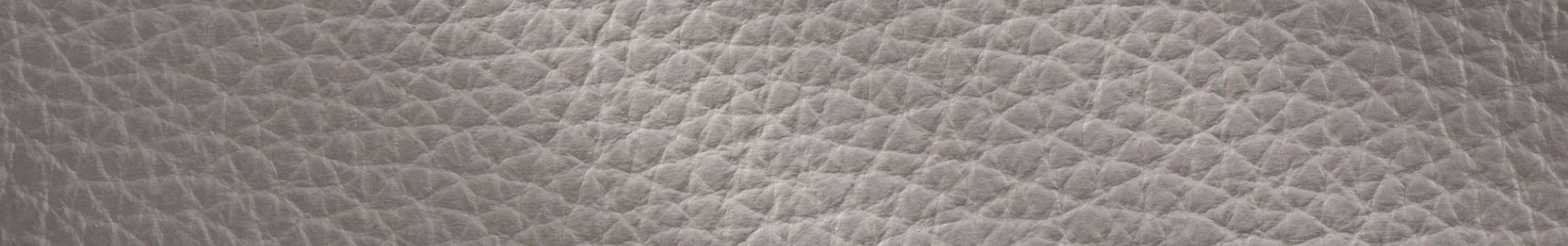 BOSS LEATHER SAMPLES