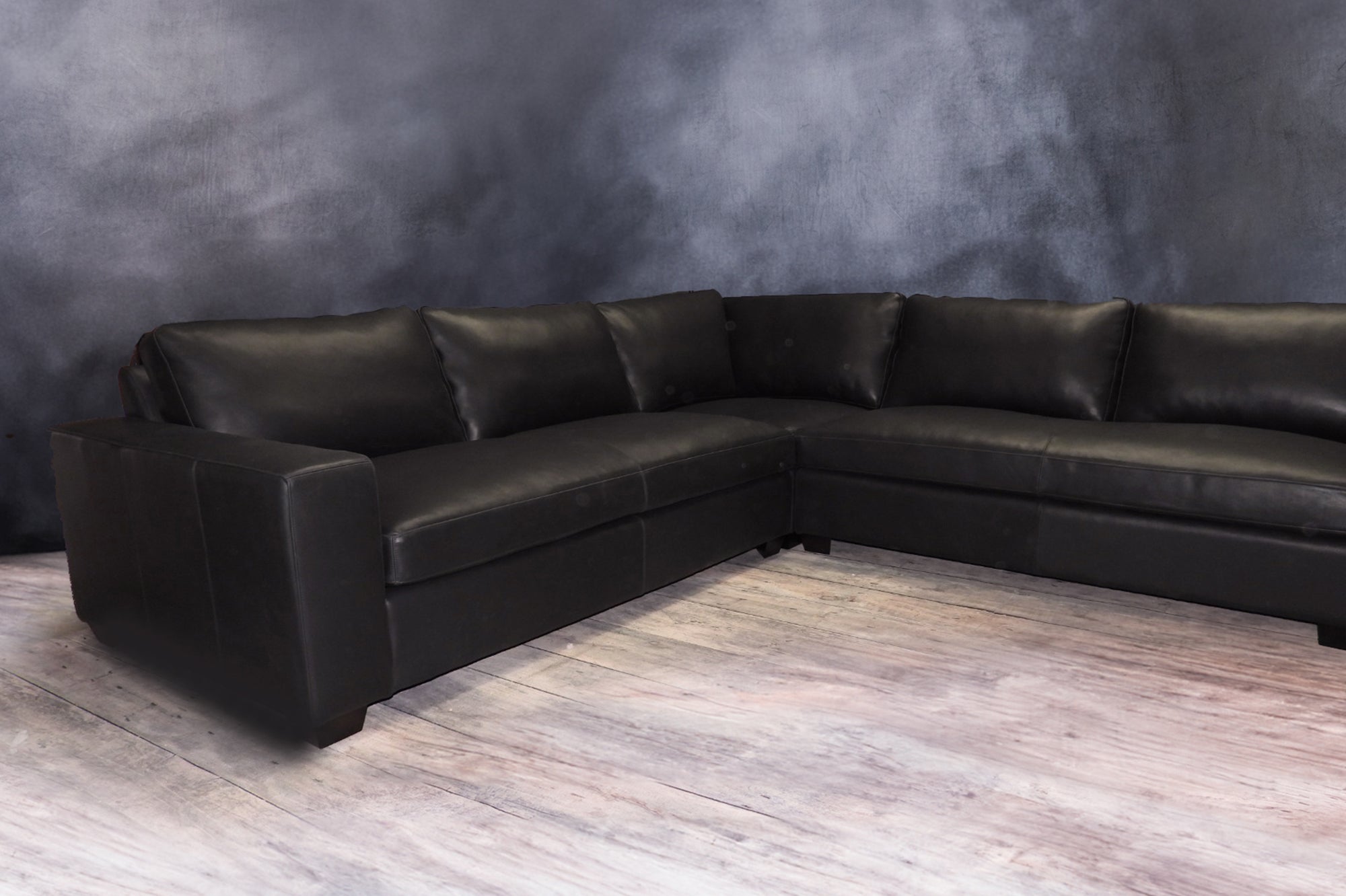 MOTION PICTURE SECTIONAL